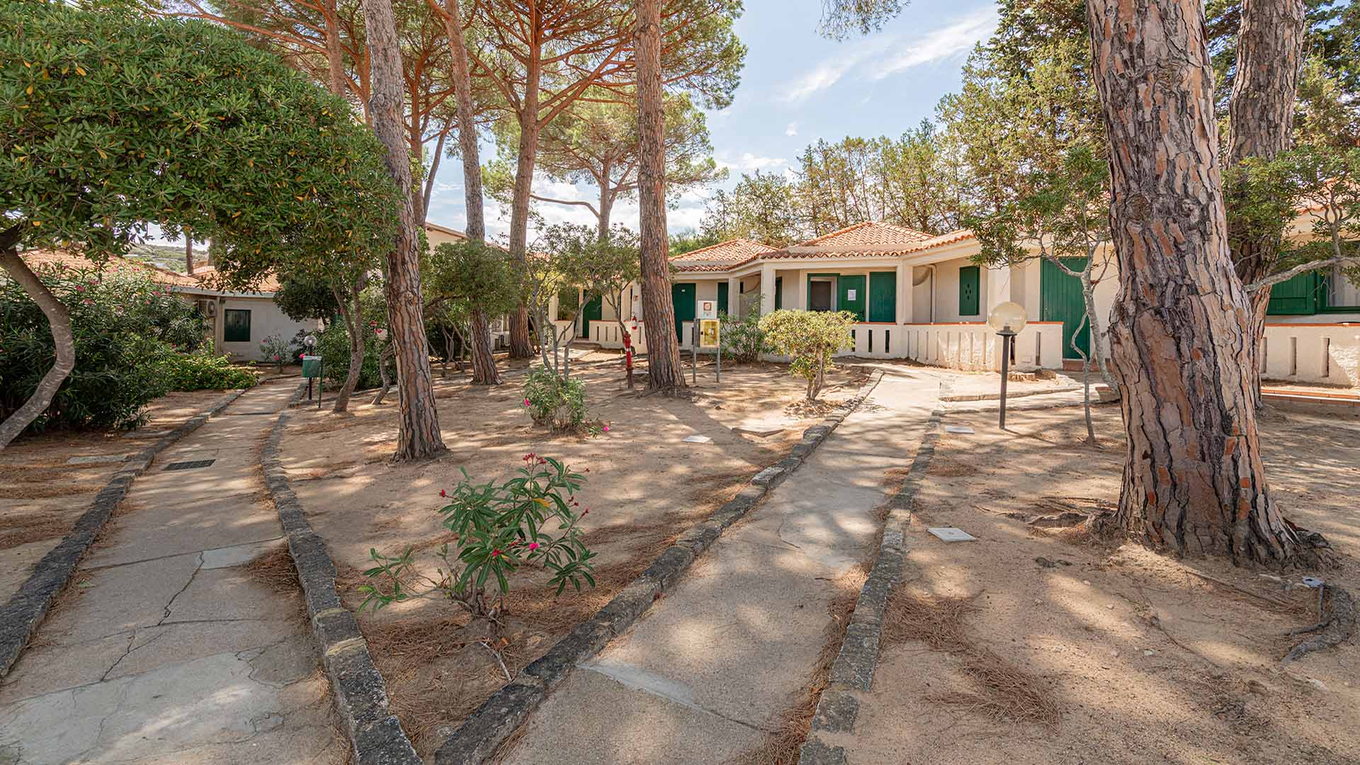 Camere in zona pineta