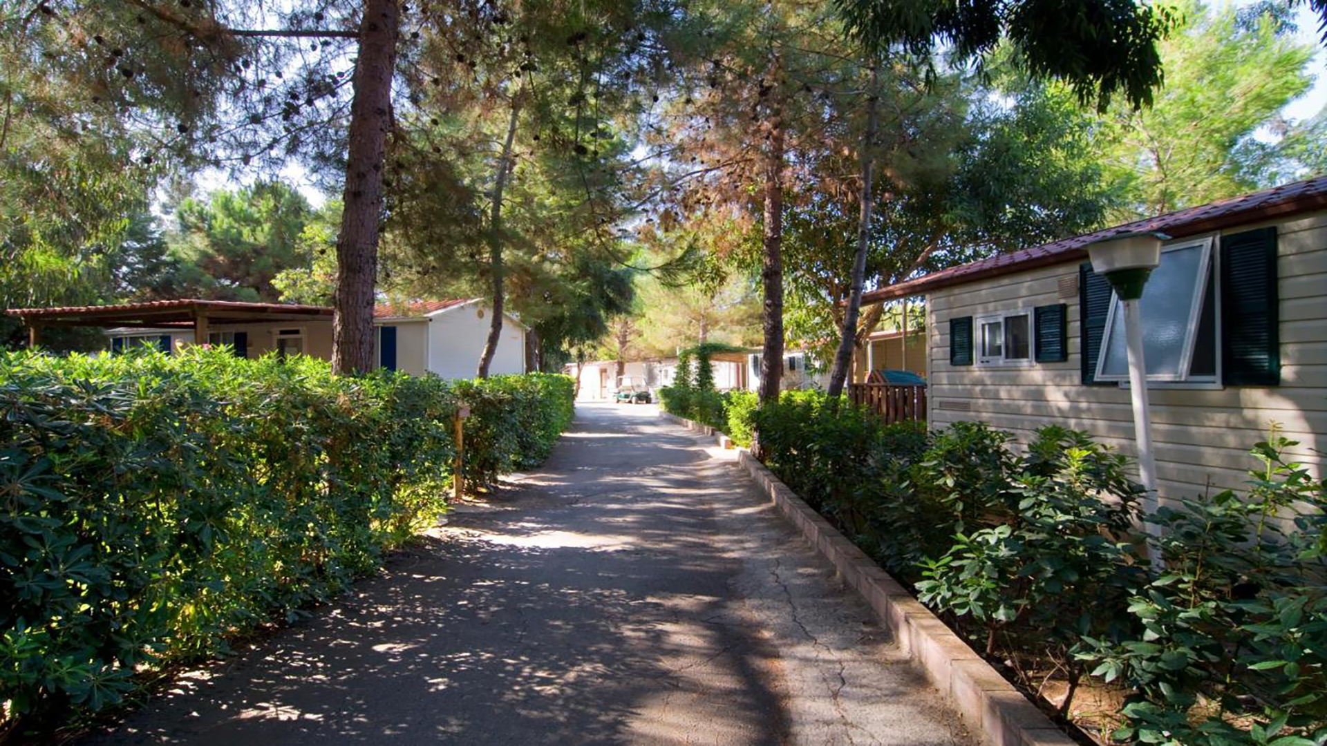 Villaggio Camping Odissea a Marina di Camerota