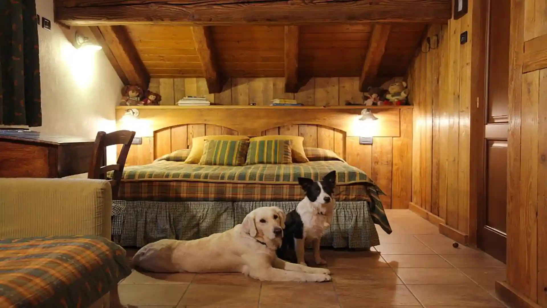 Hotel Della Nouva camera pet friendly