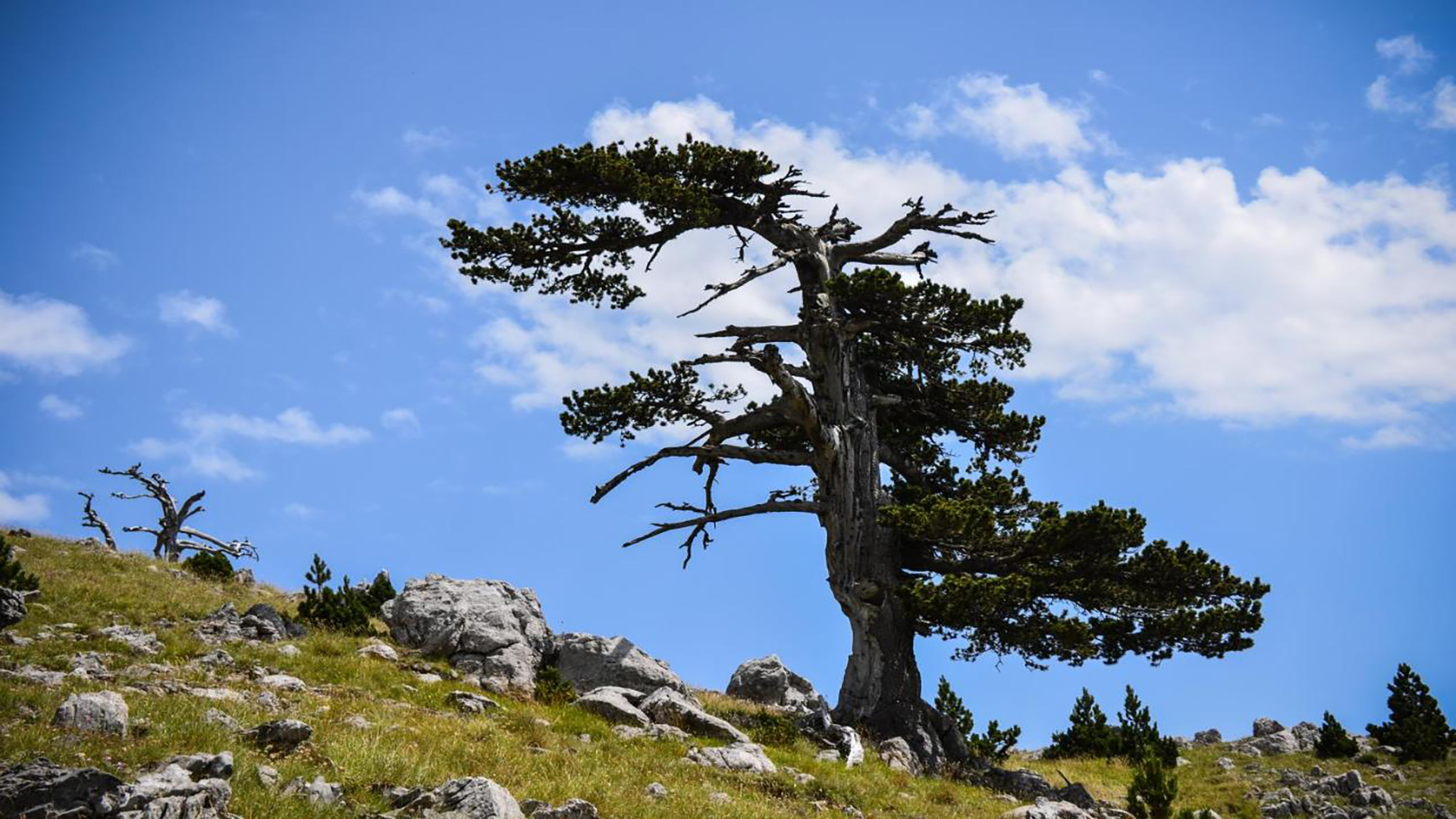 B&B La Sentinella di Civita