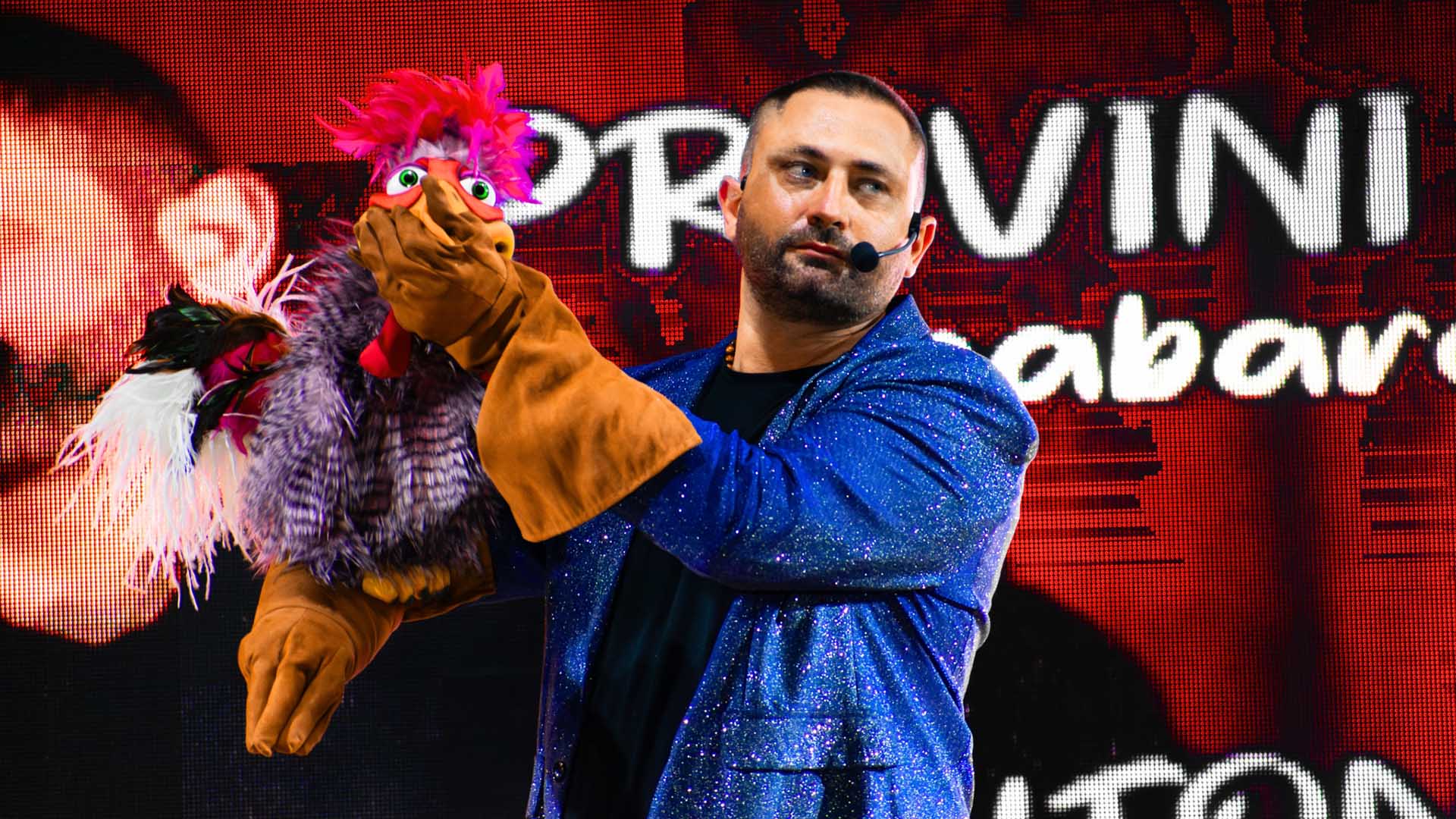 Spettacoli con artisti famosi