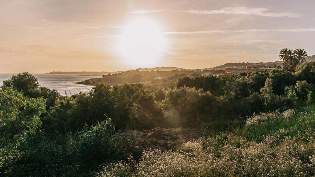 Mclub Cala Regina - 5