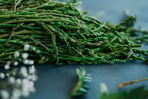 Aaparagi selvatici come cucinarli