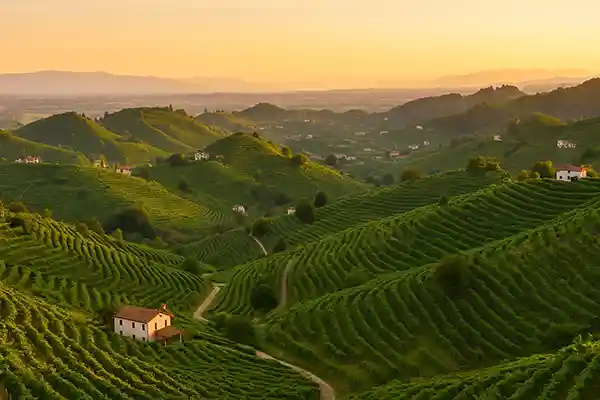 🍷 Colline del Prosecco – Gusto e paesaggi tra Valdobbiadene e Conegliano