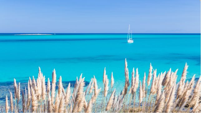 La spiaggia della Pelosa a Stintino