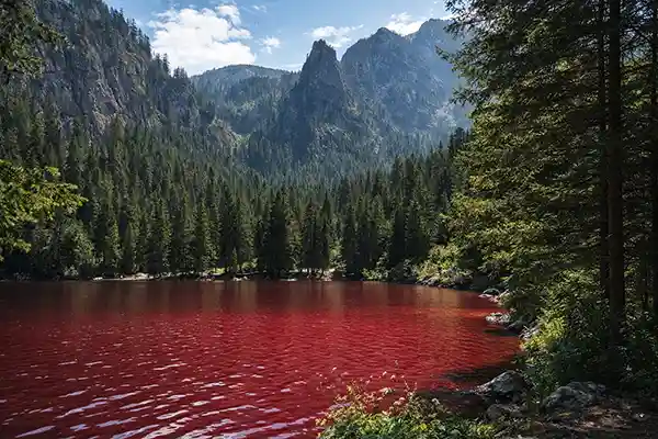 🎨 I laghi che cambiano colore in Italia: fenomeni naturali (quasi) magici